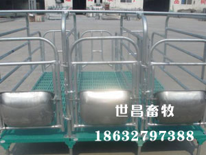 母豬定位欄養(yǎng)豬設(shè)備批發(fā)